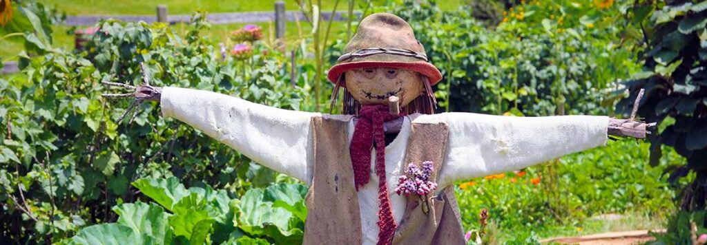 Atelier de jardinage écologique aux Jardins du Petit Lopin à Peymeinade