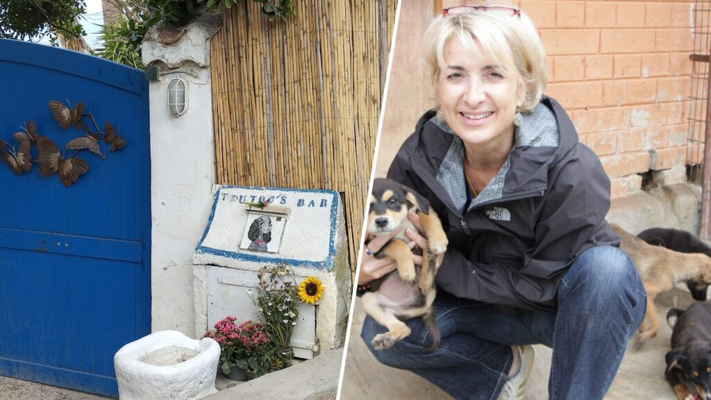 Montage : le portail de La Madrague à Saint-Tropez et la directrice générale de la Fondation Brigitte Bardot tenant un chiot
